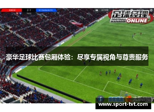 豪华足球比赛包厢体验：尽享专属视角与尊贵服务